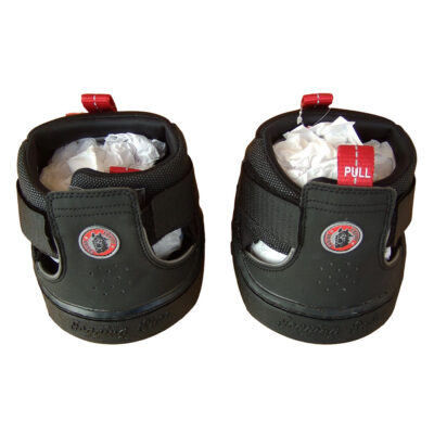 Equine Fusion Trekking Shoe - Paar